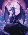 Malowanie po numerach. Majestatyczny smok 40x50cm - tantis.pl