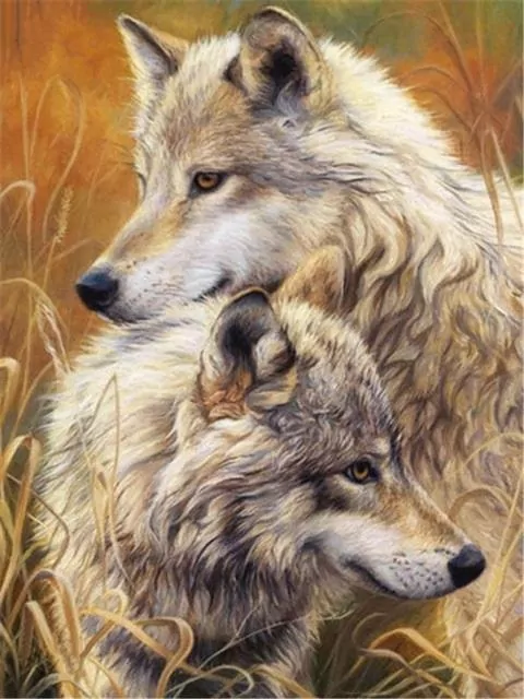 Wilki. Malowanie po numerach 40x50cm - tantis.pl