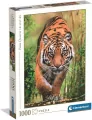Puzzle 1000 The Hunters Path - tantis.pl