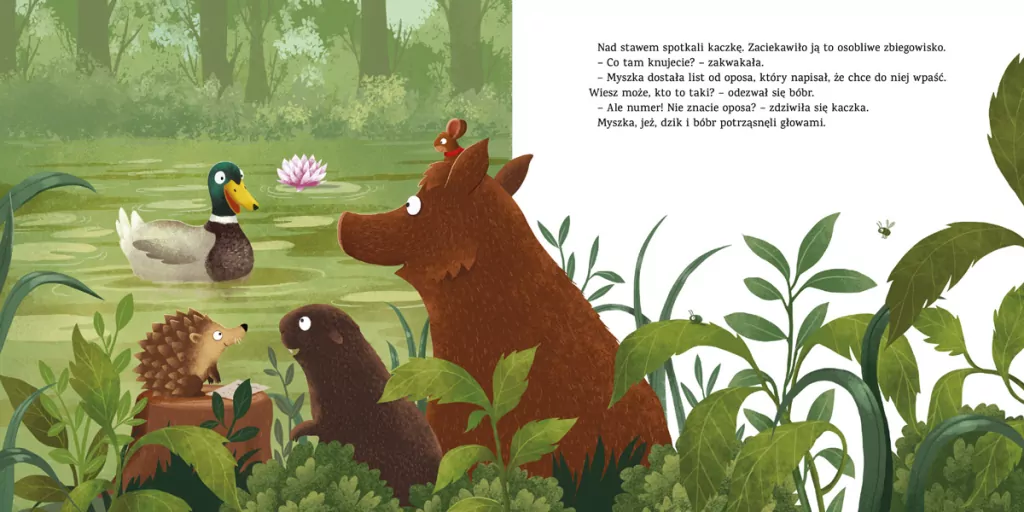 Jak wygląda opos? - tantis.pl