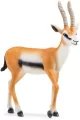 Gazela Thomsona - tantis.pl