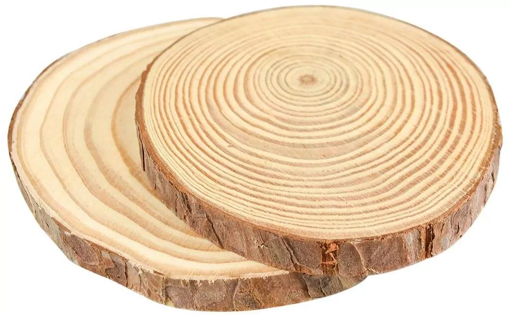 Plastry drewna, 2 sztuki - tantis.pl