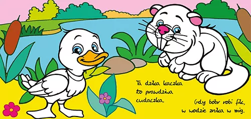 Jezioro. Kolorowy plusk - tantis.pl