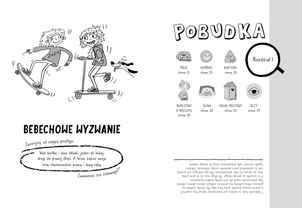 Bebechy, czyli ciało człowieka pod lupą - tantis.pl