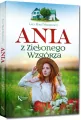 Ania z Zielonego Wzgórza. Tom 1 - tantis.pl