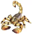 Skorpion 41cm - tantis.pl
