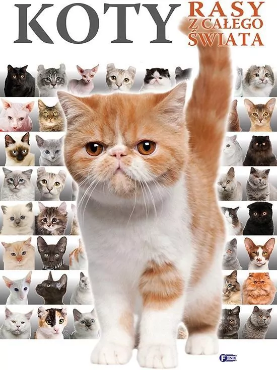 Koty. Rasy z całego świata - tantis.pl