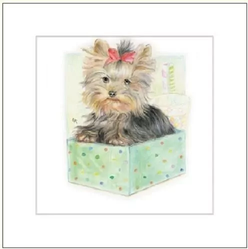 Karnet 16x16 G04 41G 055 + koperta Pies rysowany - tantis.pl