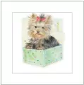 Karnet 16x16 G04 41G 055 + koperta Pies rysowany - tantis.pl