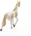 Klacz paint horse 13884 - tantis.pl