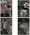 Zeszyt A5/60K linia Wild Beauty (10szt) - tantis.pl