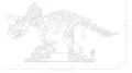 LEGO® Szkielety dinozaurów: triceratops 77985 - tantis.pl
