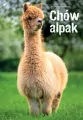 Chów alpak - tantis.pl