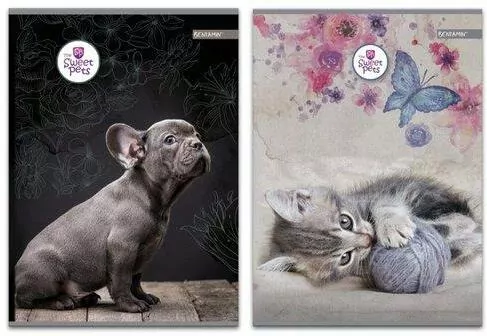 Zeszyt A5/60K linia pets mix - tantis.pl