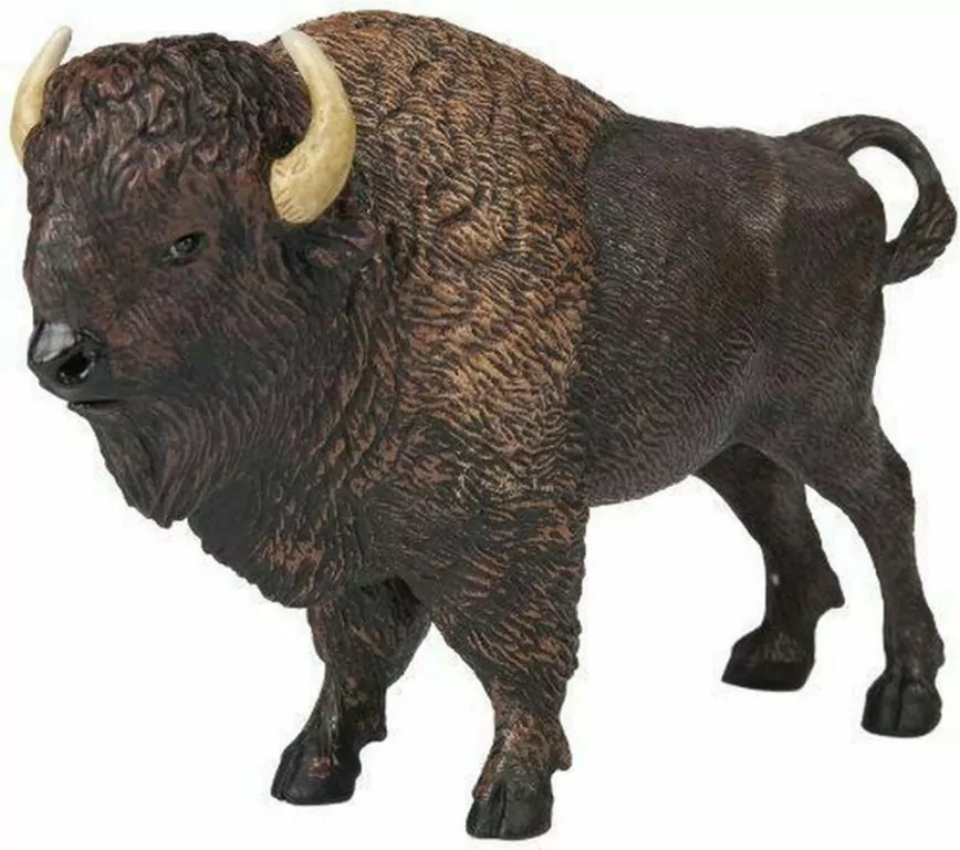 Bawół amerykański - tantis.pl