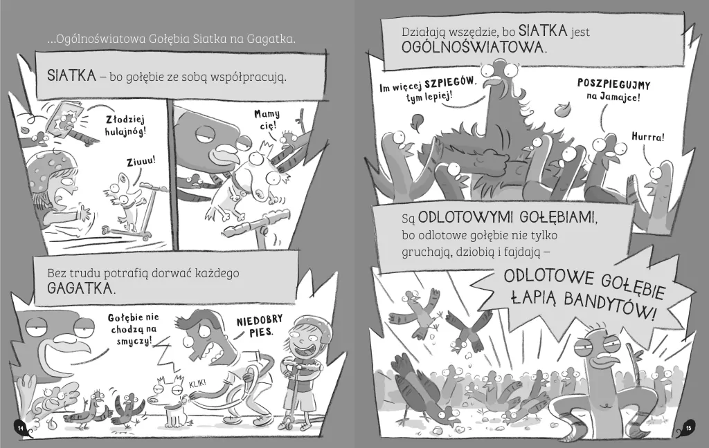 Odlotowe gołębie zadają dziobociosy - tantis.pl