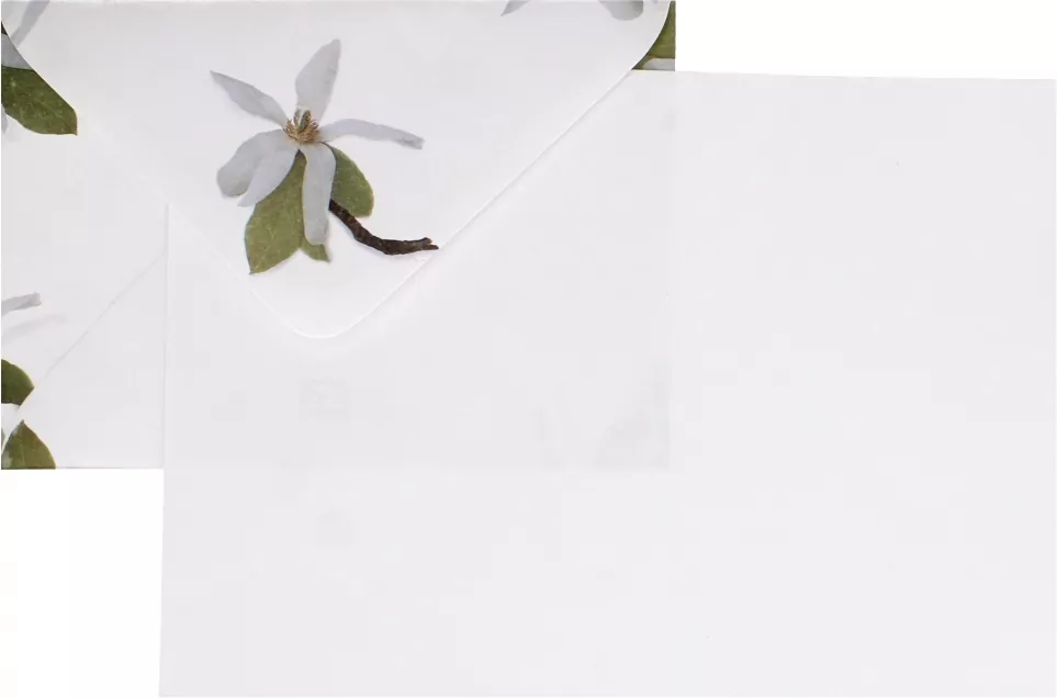 Logos. Papeteria A5, 4 koperty /6 kartek. Magnolia - tantis.pl
