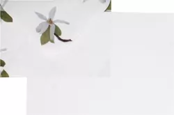 Logos. Papeteria A5, 4 koperty /6 kartek. Magnolia