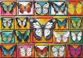 Puzzle 500 Kolekcja motyli TREFL - tantis.pl