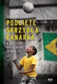 Podcięte skrzydła kanarka. Blaski i cienie brazylijskiego futbolu - tantis.pl