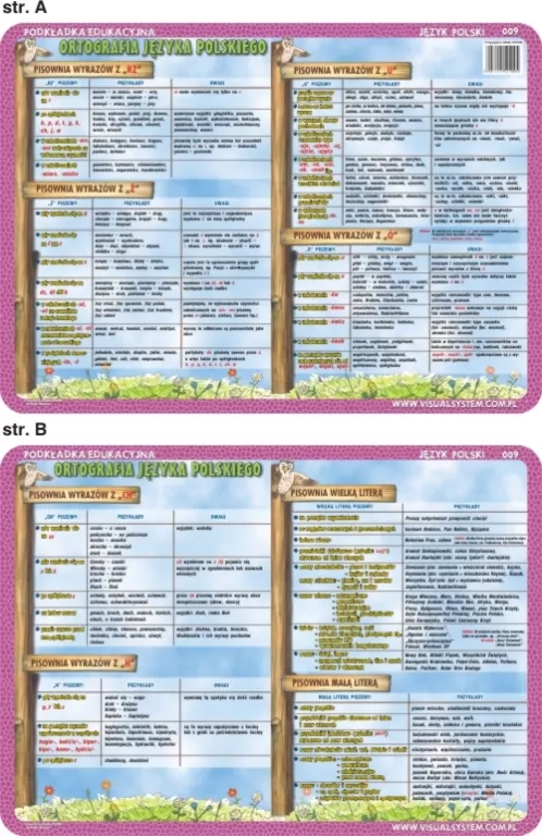 Podkładka edukacyjna. Ortografia języka polskiego. Pisownia wyrazów z: ch, h, rz, ż, ó, u, wielka i mała litera - tantis.pl