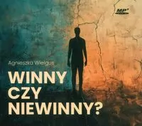 Winny czy niewinny? audiobook - tantis.pl