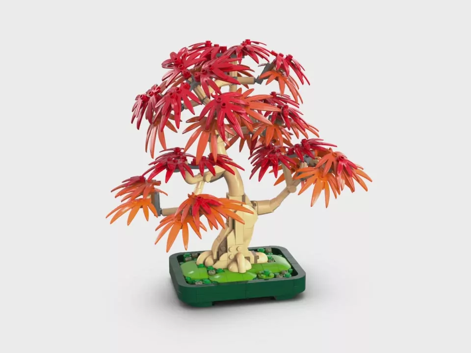 LEGO® Botanicals. Klon palmowy bonsai 10348 - tantis.pl