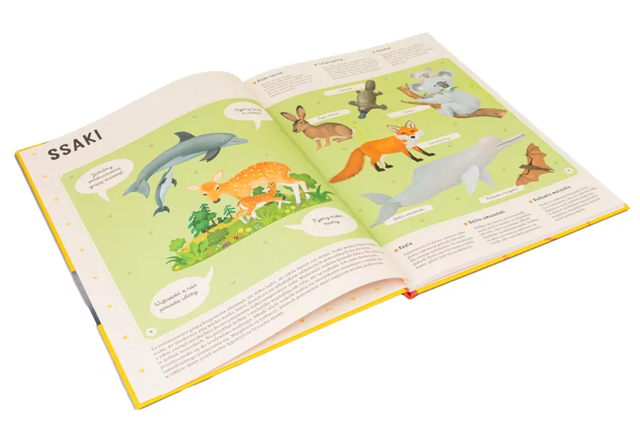 Moje własne zoo. Odkrywamy tajemniczy świat zwierząt - tantis.pl