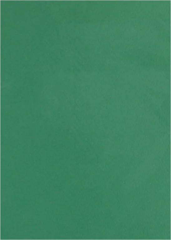 KARTON OZD A4 ZIE 220G GAL PAP SAWANNA OP20SZT - tantis.pl