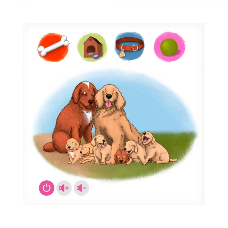 Domowe zwierzęta. Czytaj z Albikiem - tantis.pl