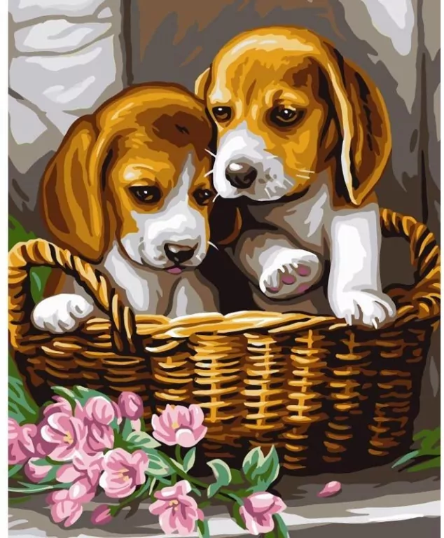 Malowanie po numerach 40x50cm Pieski w koszyku - tantis.pl