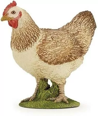 Kura czerwona 51159 - tantis.pl