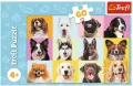 Puzzle 60. Słodkie psiaki. 17374 - tantis.pl