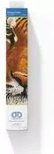 Diamond Dotz - Adults Bengal Magic - tantis.pl