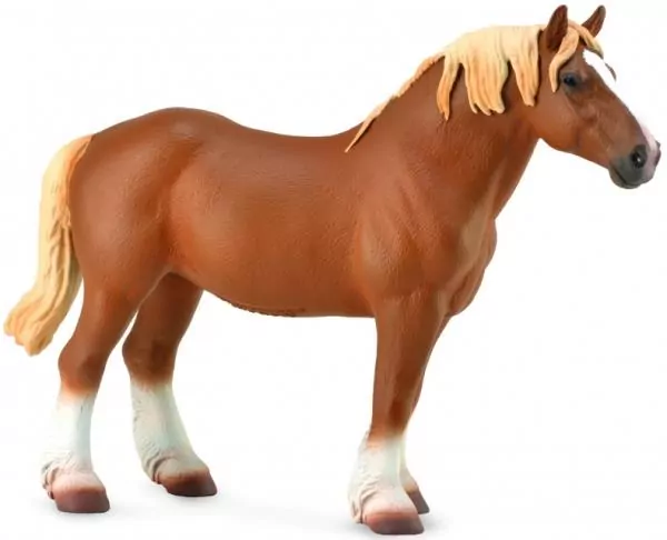 Ogier Belgian Mare gniady - tantis.pl