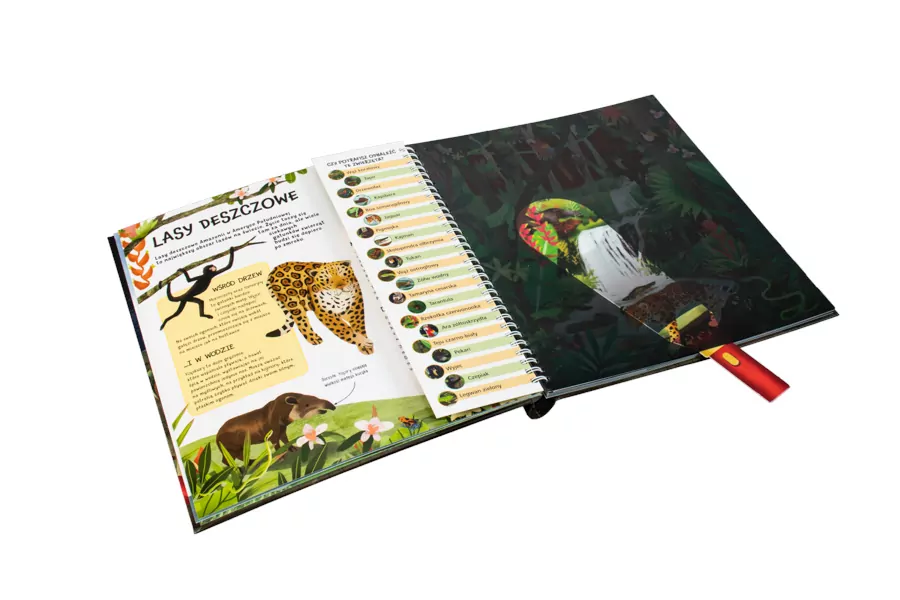 Zwierzęta nocą. Nocne safari z latarką w ręku - dla śmiałych odkrywców! - tantis.pl