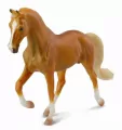 Klacz rasy stallion golden palomino - tantis.pl