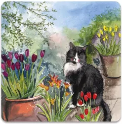 Magnes FM246 Kot Roderick w ogrodzie