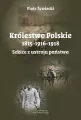 Królestwo Polskie 1815-1916-1918. Szkice z ustroju - tantis.pl