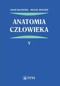 Anatomia człowieka. Tom 5 - tantis.pl