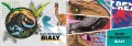Blok techniczny A4/10K biały Jurassic park mix - tantis.pl