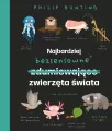 Najbardziej bezsensowne zwierzęta świata - tantis.pl