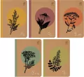 Zeszyt A5/64K linia Nature. One Herb - tantis.pl