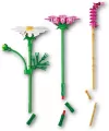 LEGO® Kosmosy 11514 - tantis.pl