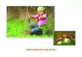 Ja i mój świat 1. Podręcznik. Część 1 - tantis.pl