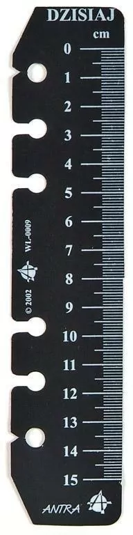 Linijka 15 cm do organizera ST B-6 ANTRA - tantis.pl
