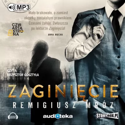 Zaginięcie. Joanna Chyłka. Tom 2. Audiobook