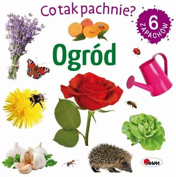 Ogród. Co tak pachnie? - tantis.pl