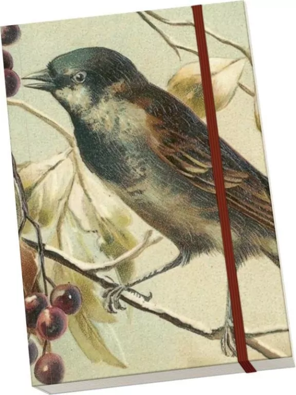 Notatnik ozdobny A5 STNOTE 117 Ptaszek na gałęzi - tantis.pl
