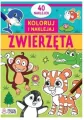 Zwierzęta. Koloruję i naklejam - tantis.pl